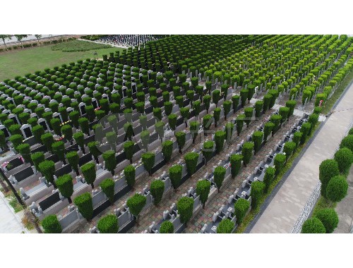 博鱼官方网站：市政绿化工程承包价格