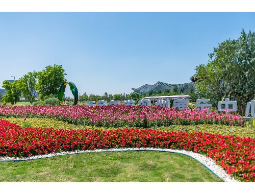 博鱼boyu体育官方平台：园林绿化工程施工新手入门